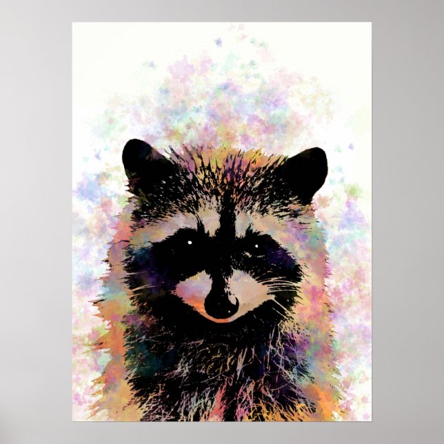 Racoon 27 poster (Front)