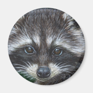 Racoon #3 magnet