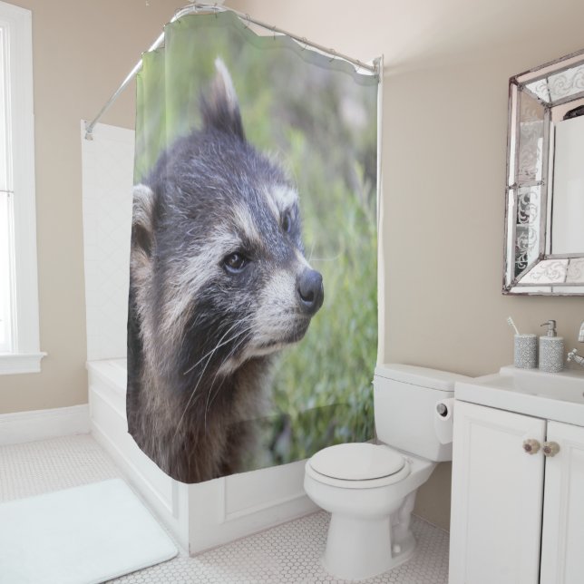 racoon 519-1 shower curtain (In Situ)
