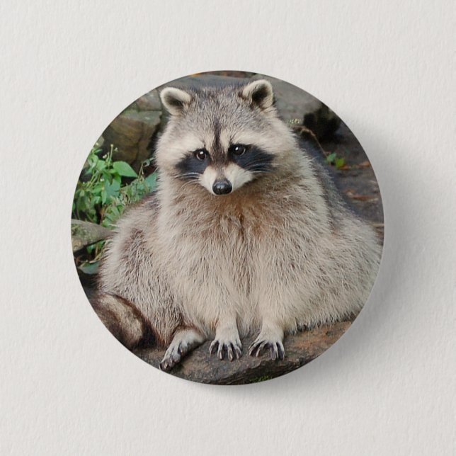 Racoon 6 Cm Round Badge (Front)