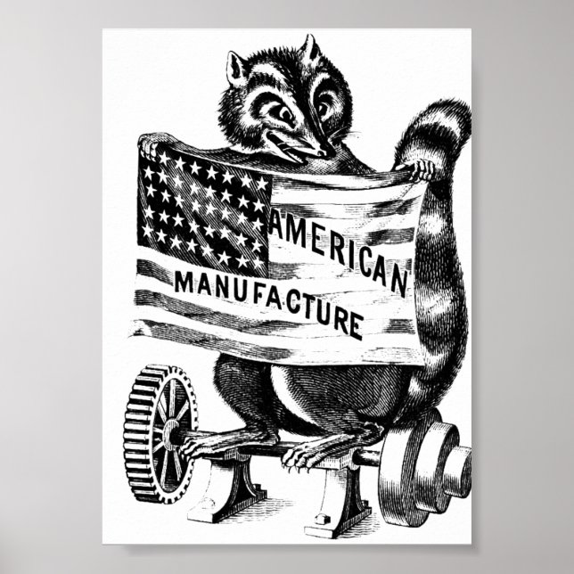 Racoon Americana Political Art Illustration Poster (Front)