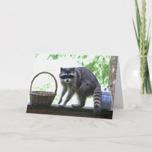 Racoon and Cookie Jar Card
