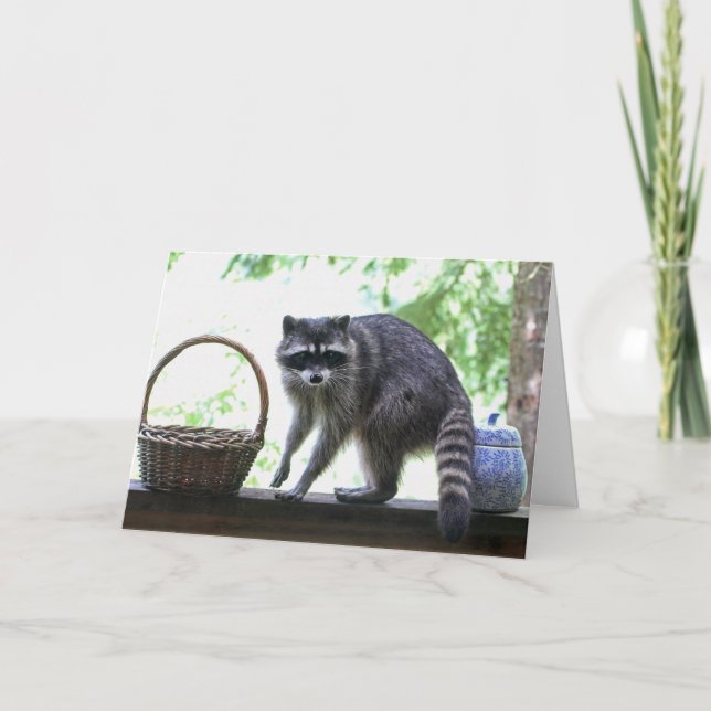 Racoon and Cookie Jar Card (Front)
