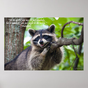 Racoon and Encouragement Poster