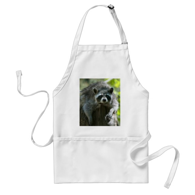Racoon Aprons (Front)