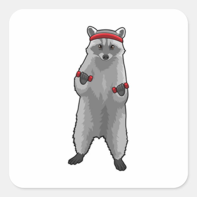 Racoon at Fitness with Dumbbells Square Sticker (Front)