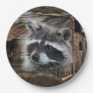 Racoon At The Old Barn Paper Plate