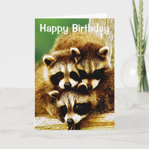 Racoon Babies Happy Birthday Greeting Card