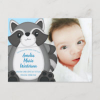 Racoon Baby Shower Blue