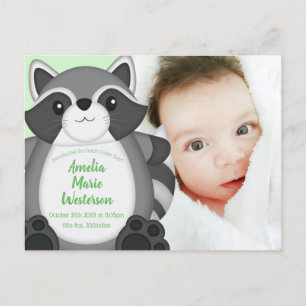 Racoon Baby Shower Green Postcard