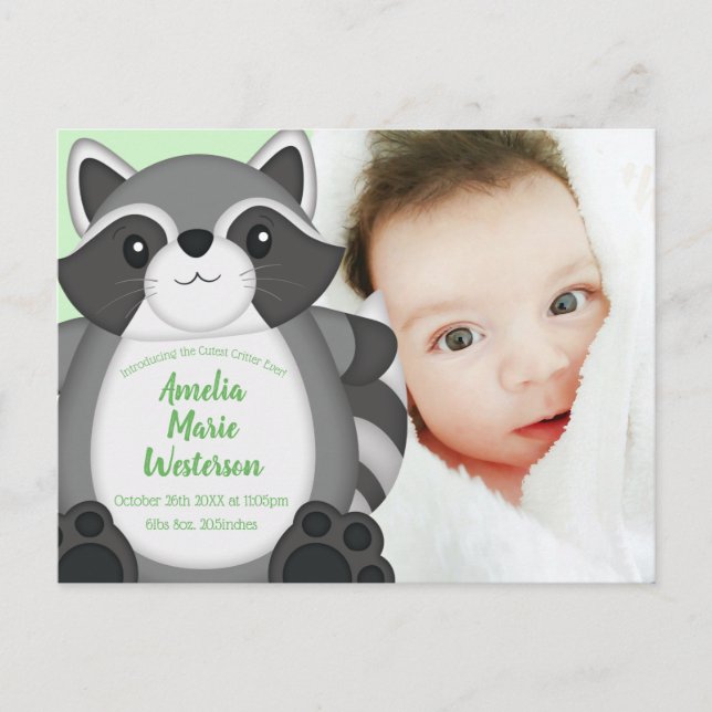 Racoon Baby Shower Woodland Postcard (Front)