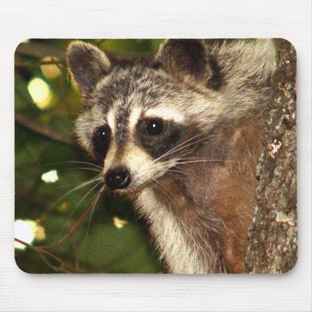 Racoon "Bandit" Mousepad (Front)