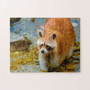 Racoon Bears. Jigsaw Puzzle