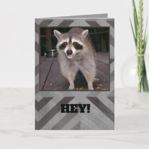 Racoon Birthday card for Adults or children.   