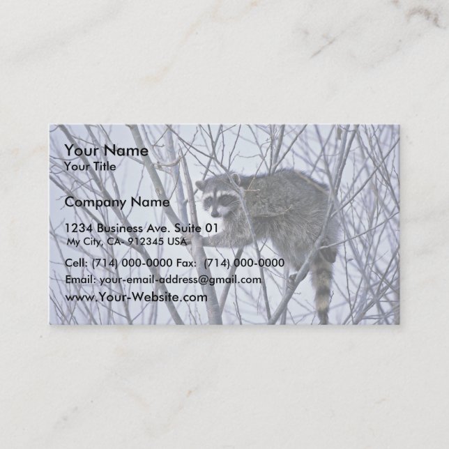 Racoon Business Card (Front)