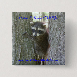 Racoon Buttoon 15 Cm Square Badge