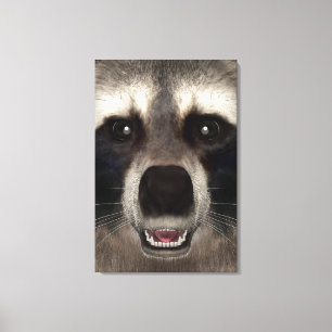 Racoon Canvas Print