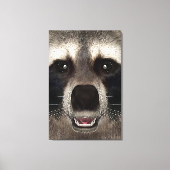 Racoon Canvas Print (Front)