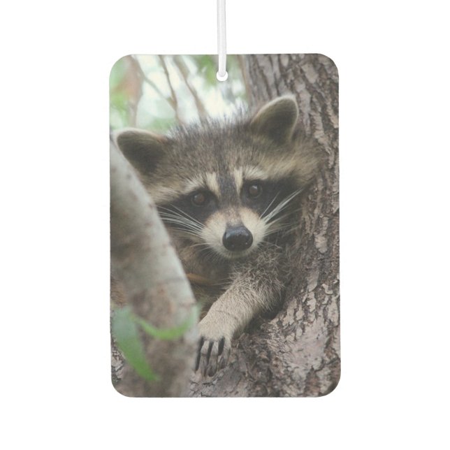 Racoon Car Air Freshener (Front)