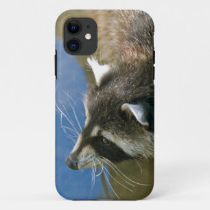 Racoon iPhone 11 Case