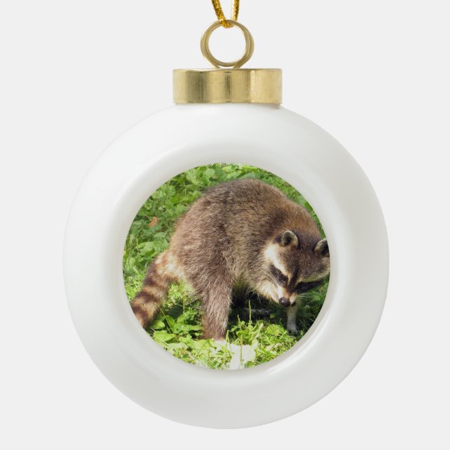 Racoon Ceramic Ball Christmas Ornament (Front)