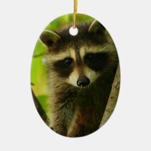 racoon ceramic tree decoration