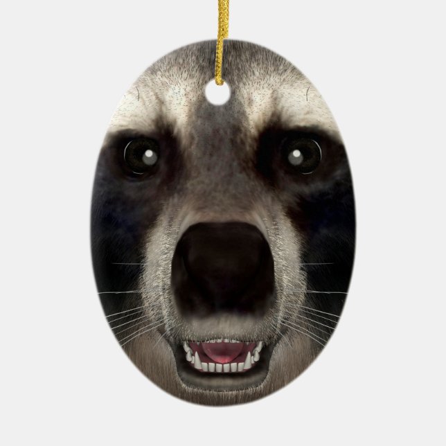 Racoon Ceramic Tree Decoration (Front)