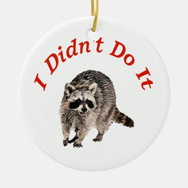 Racoon Ceramic Tree Decoration (Front)