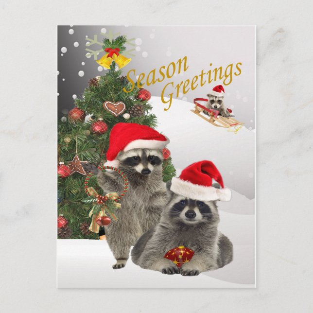 Racoon Christmas A Time For Fun Holiday Postcard (Front)