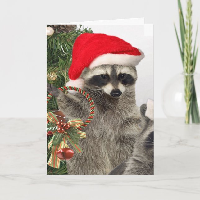 Racoon Christmas Celebration Holiday Card (Front)