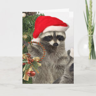 Racoon Christmas Celebration Holiday Card
