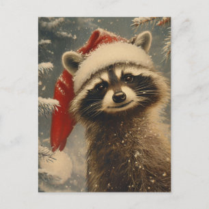 Racoon Christmas  Postcard