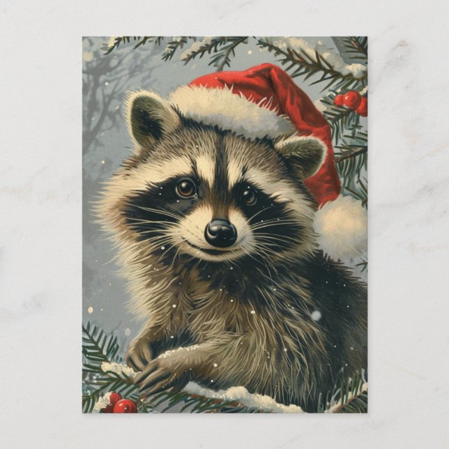 Racoon Christmas Postcard (Front)