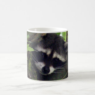 Racoon Coffee Mug