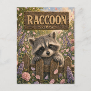 Racoon Cute Baby Storybook Nursery Animal Postcard