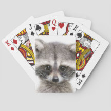 Racoon drawing figure on  Playing Cards