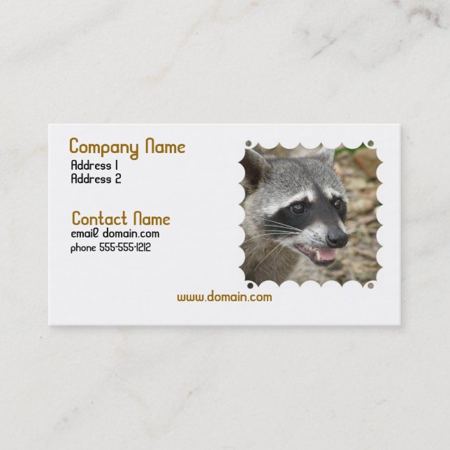 Racoon Face Business Card (Front)