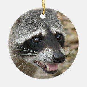 Racoon Face Ornament