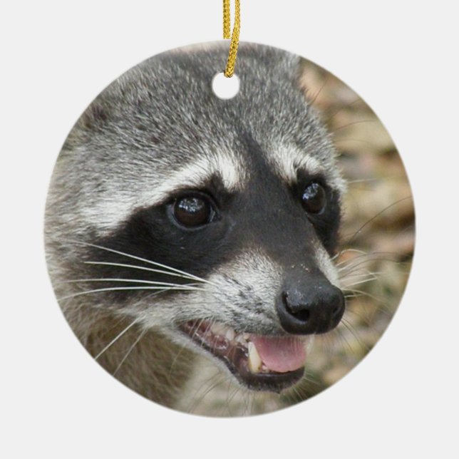 Racoon Face Ornament (Front)