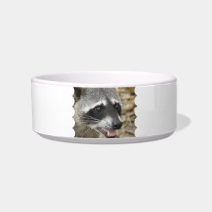 Racoon Face Pet Bowl