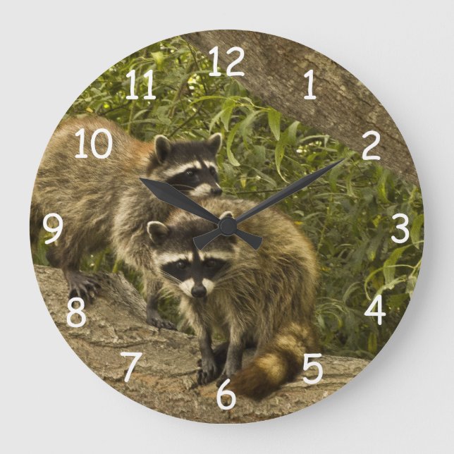 Racoon Family Large Clock (Front)
