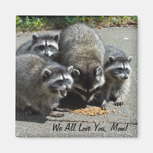 Racoon Family Mum Magnet (Front)