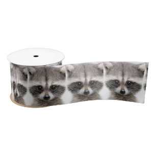 Racoon Figure Ribbon Satin Ribbon
