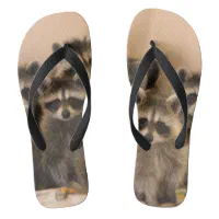 Raccoon flip flops on sale