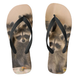 Racoon flip flops. flip flops
