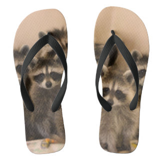 Racoon flip flops. flip flops