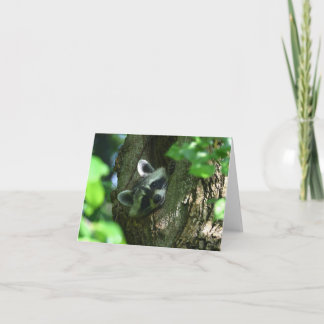 Racoon Friendship Greeting Card