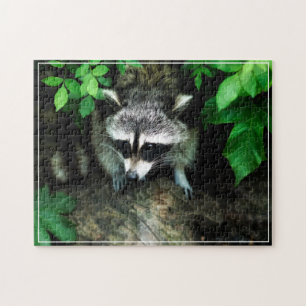 Racoon Game Puzzle