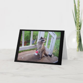 Racoon Greeting Card