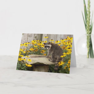 Racoon Greeting Card